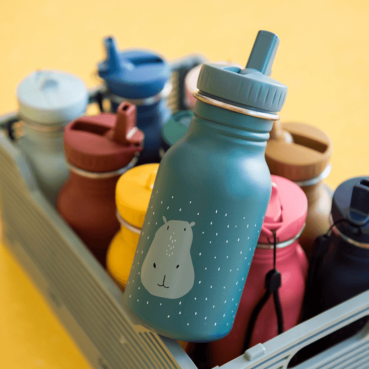 Botella Mr. Koala 350ml Trixie